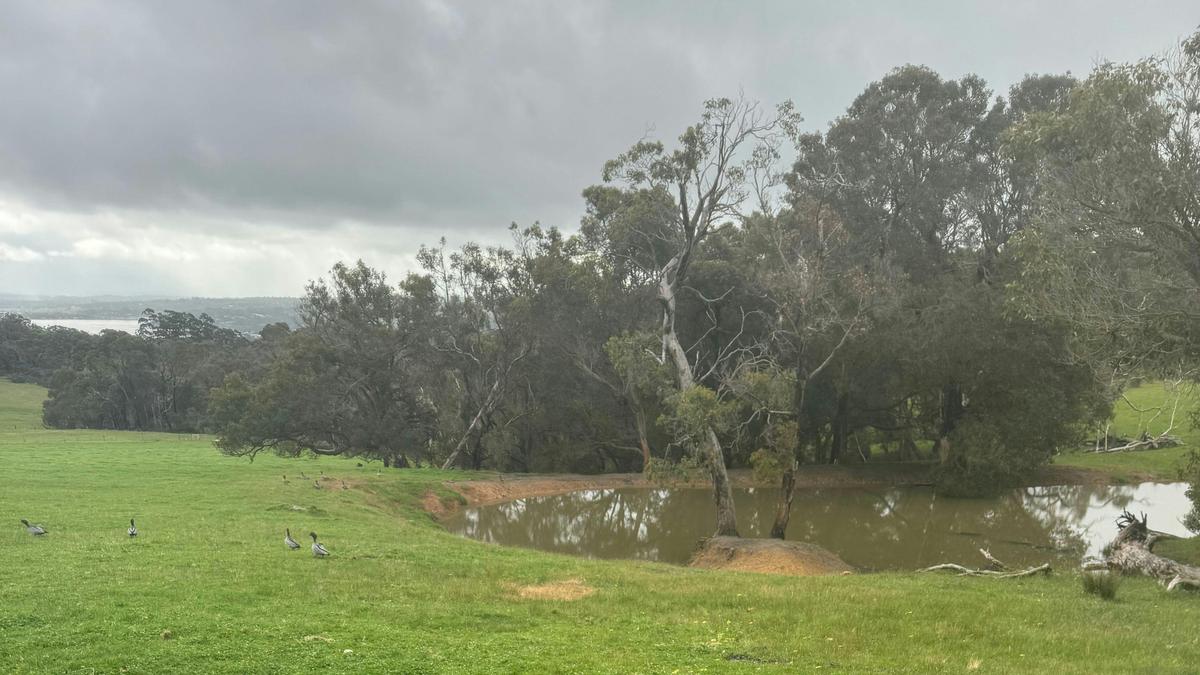 Gull Rock Farm