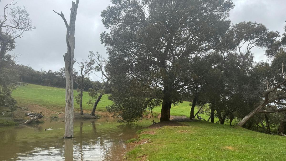 Gull Rock Farm