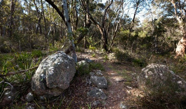 Tuross Falls walking track