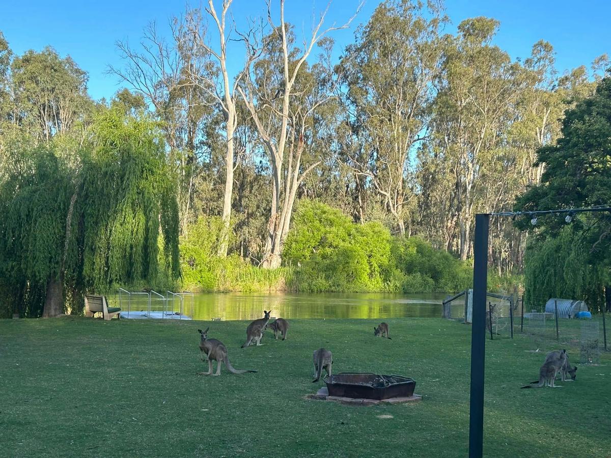 Picnic Point Mathoura