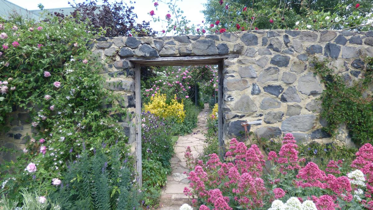 The gate