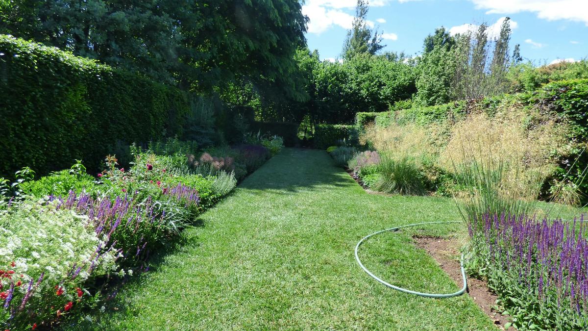 cottage garden