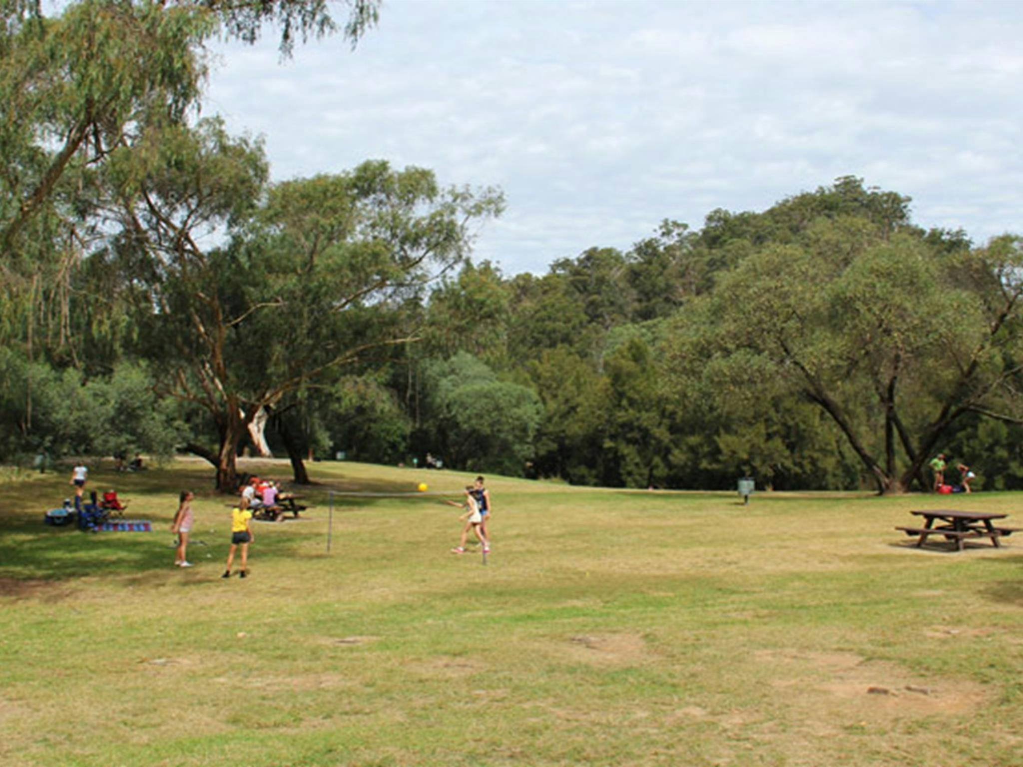 Green grass and trees in Bents Basin Road picnic area. Photo: John Yurasek &copy; OEH