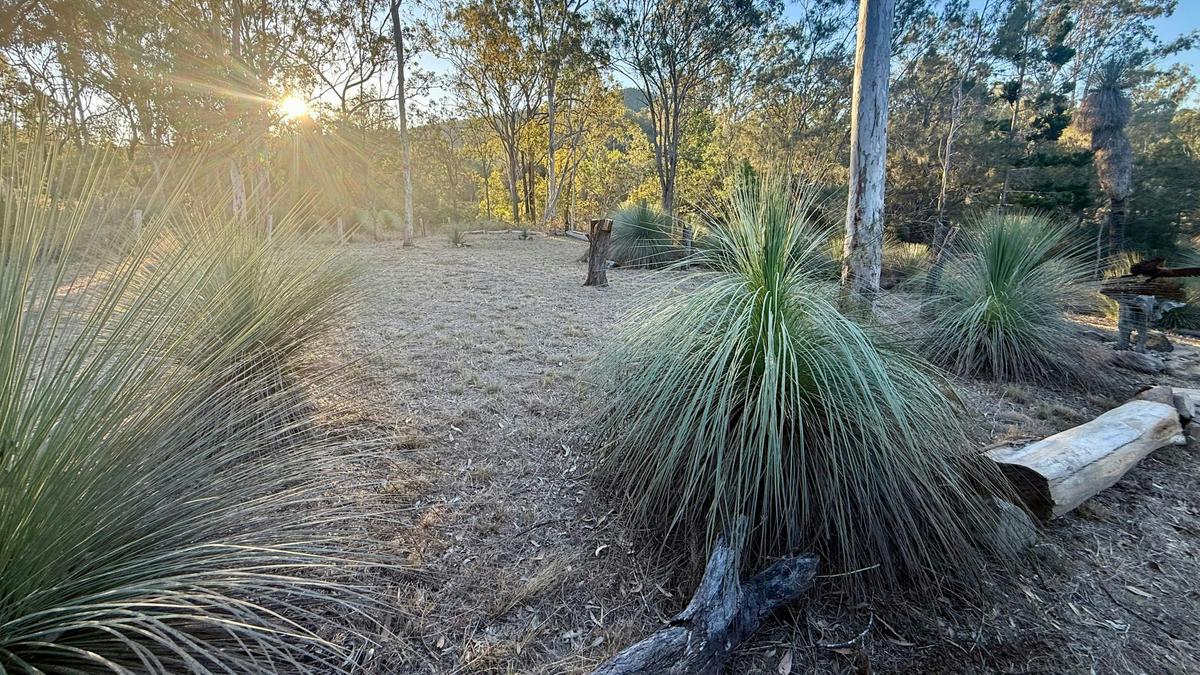 Grass Tree Camp