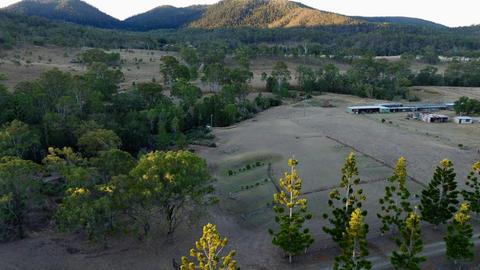 Grass Tree Camp