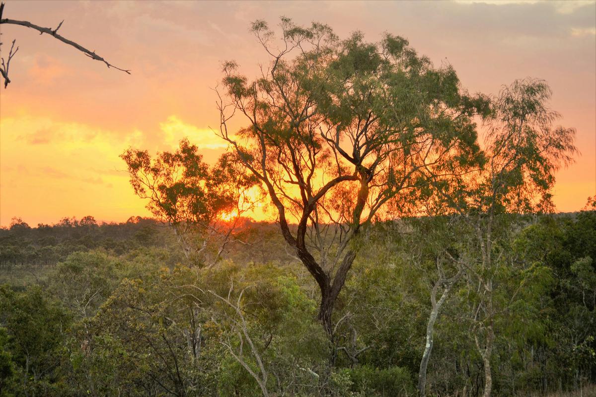 Mareeba Bush Stays