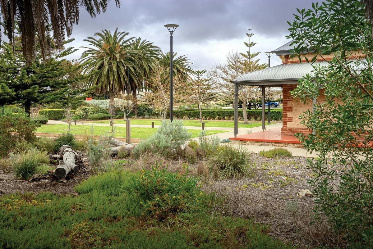 Wash House garden featuring wild and indigenous plants