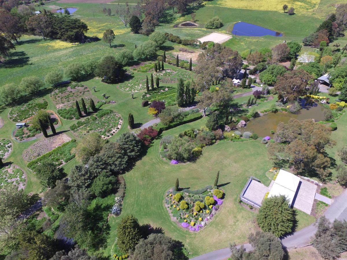 birds eye view