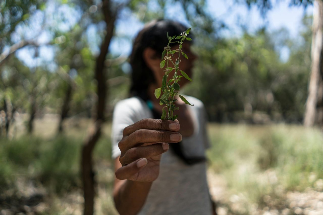 Tracy Hamilton with River Mint