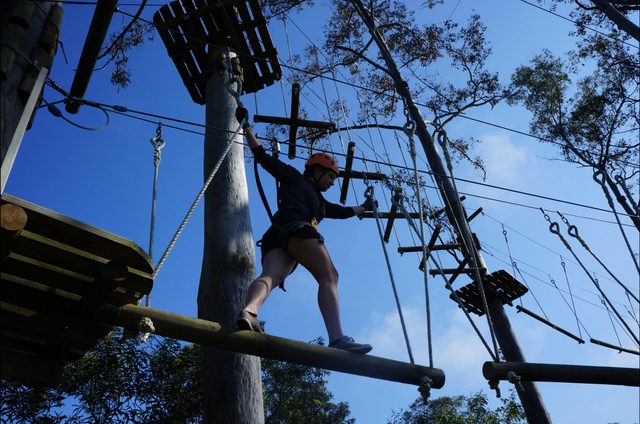 Treetops Adventure Nowra