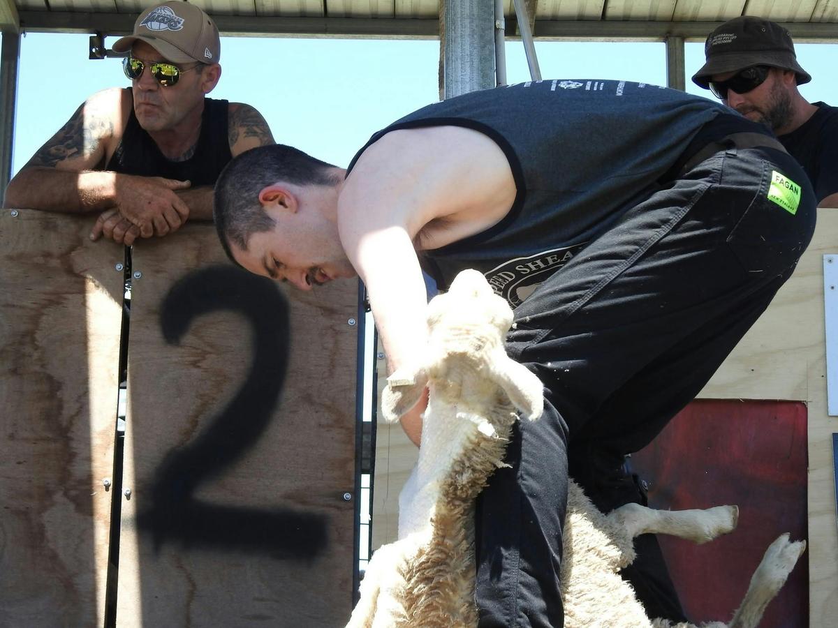 Mathoura Speed Shear