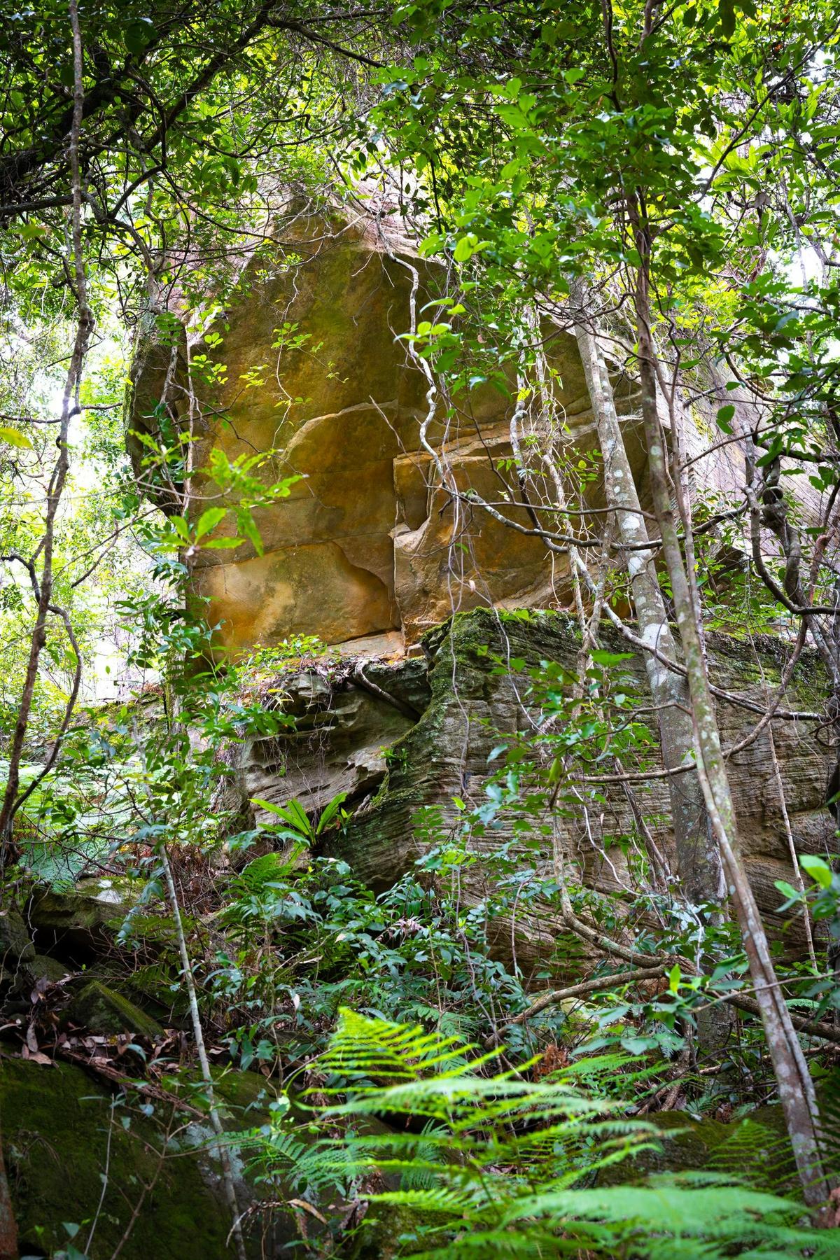 Rocky overhang along Strickland Falls Track
