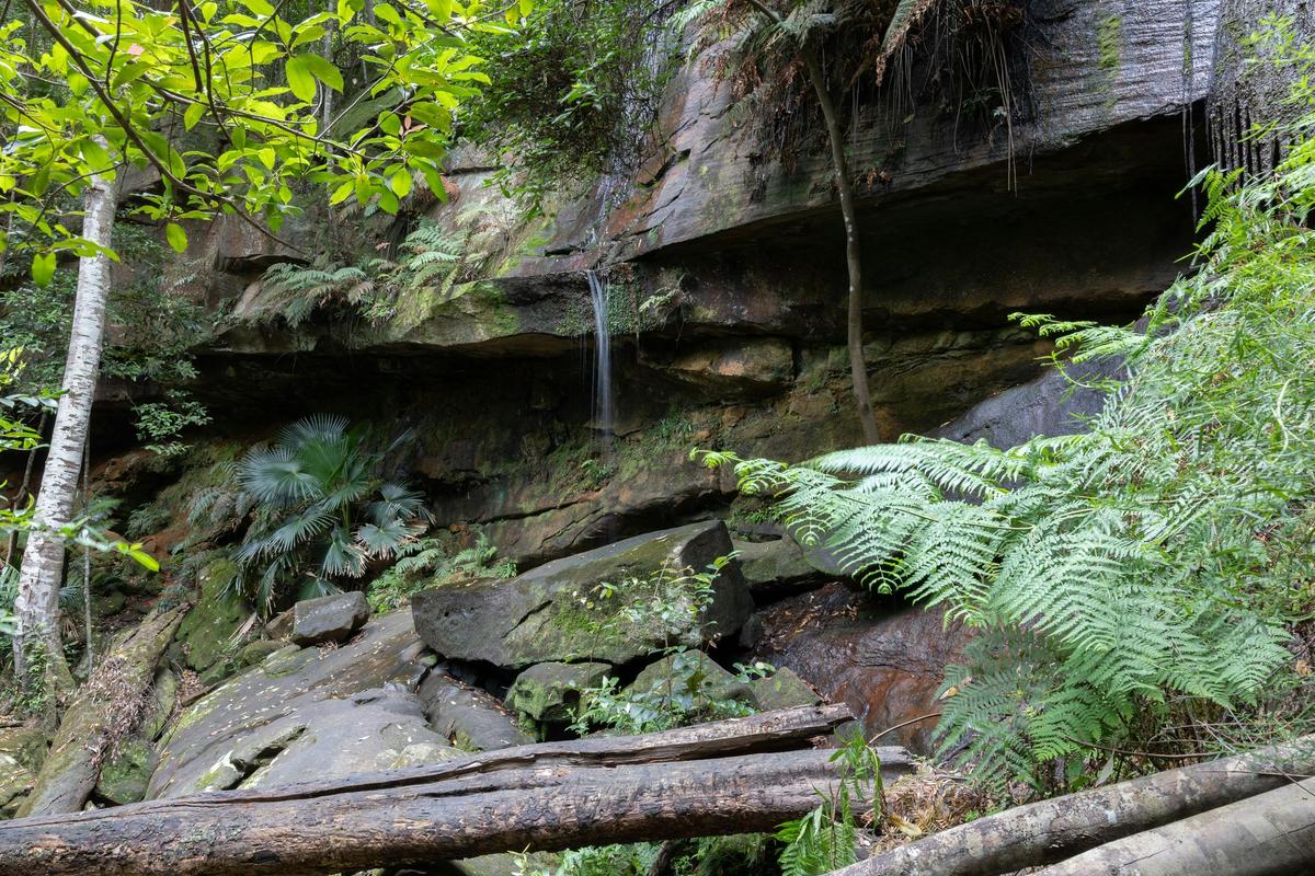 Strickland Falls