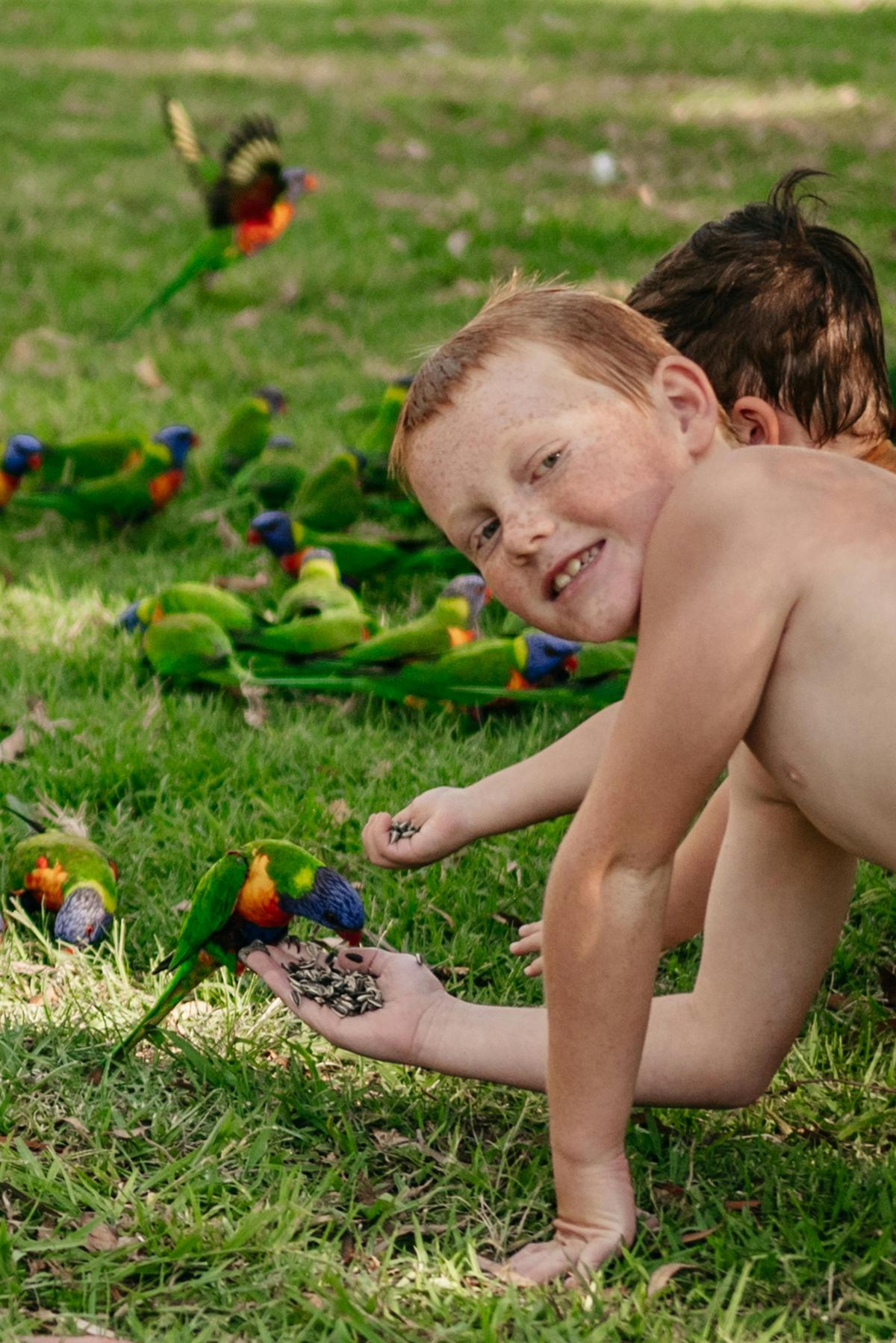 Wake up to a little bit of wild at Goomburra Getaway. Colourful rainbow lorikeets are regular visito