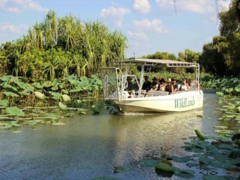 Wetlands Safari Cruise