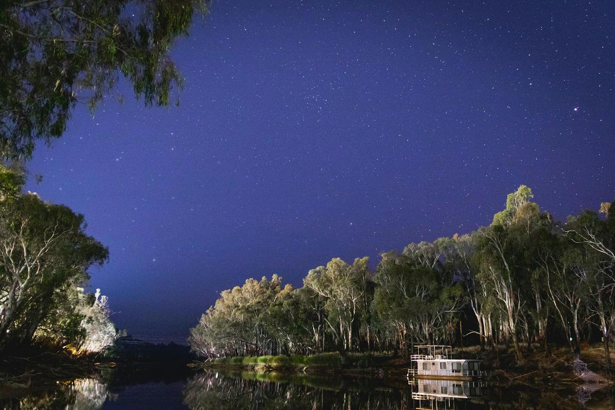 Nightime in the Island Sanctuary