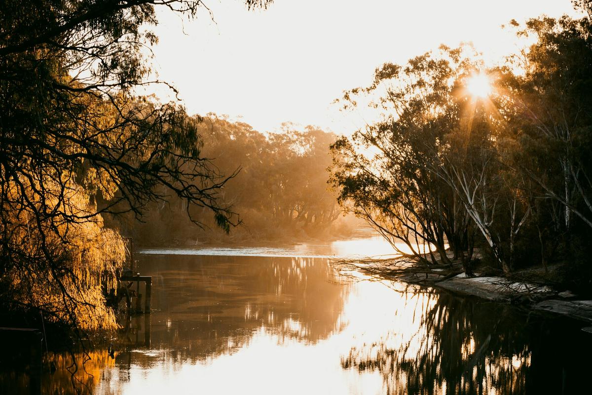 Sunset in the Island Sanctuary