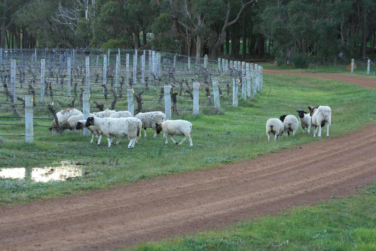 Mobile fertilisers - back to basic farming principles.