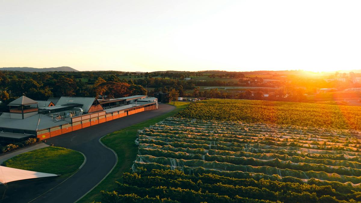 Isabella's Restaurant sits within the Rochford Wines estate at Coldstream in the Yarra Valley.