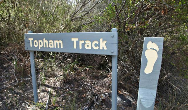 Topham Walking Track