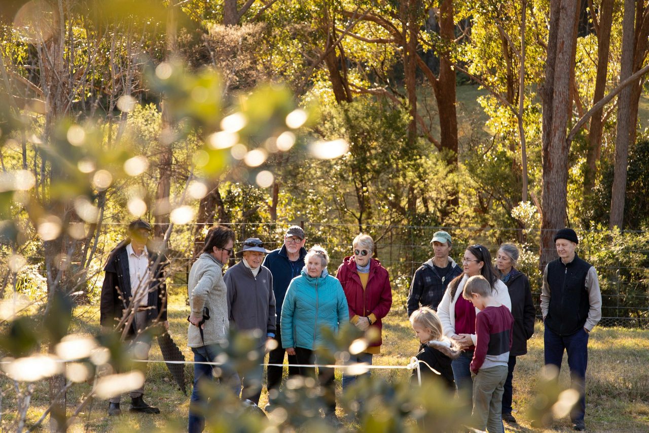 Truffle hunt