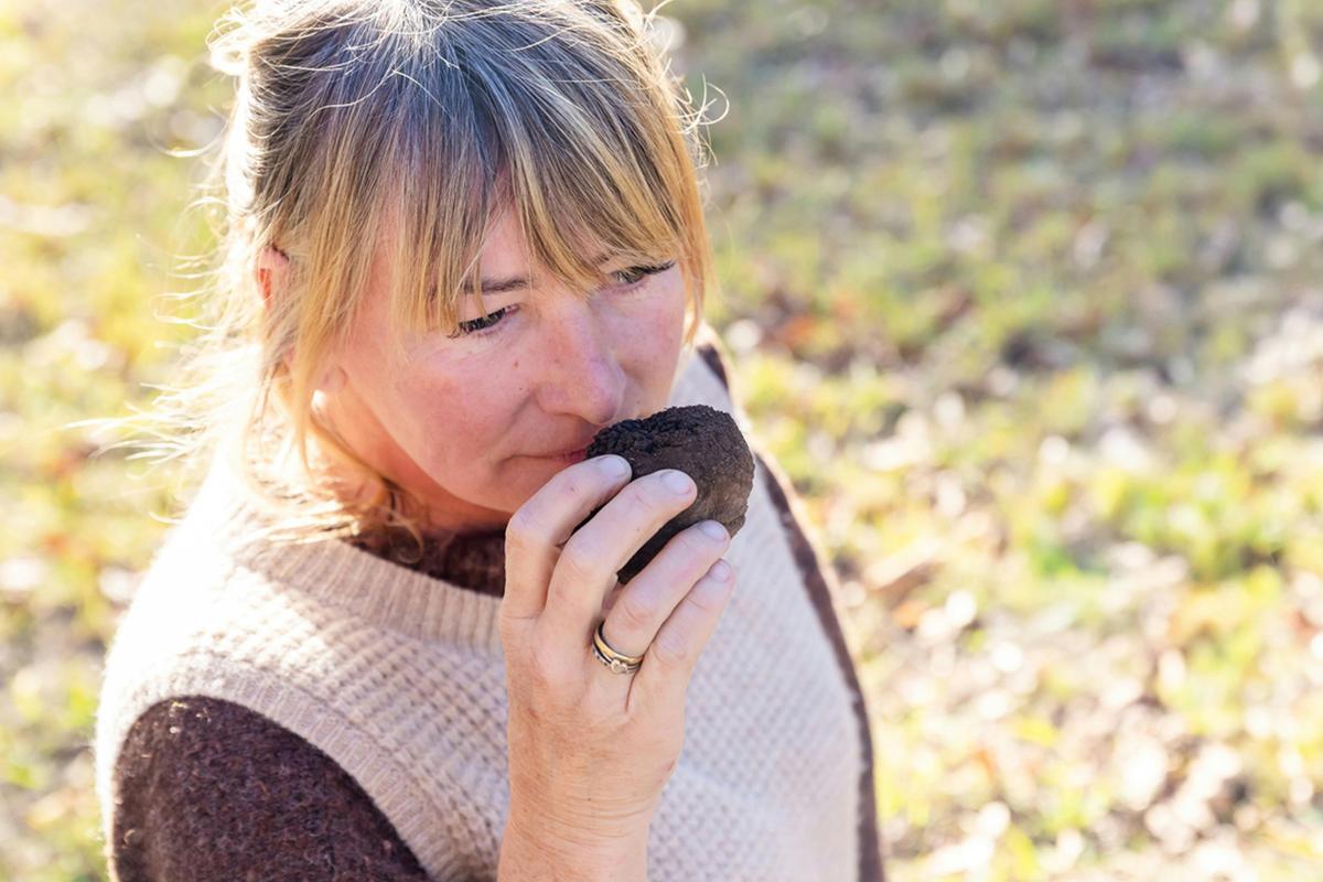 Truffle aroma - heaven