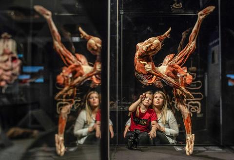 Body Worlds: The Anatomy of Happiness