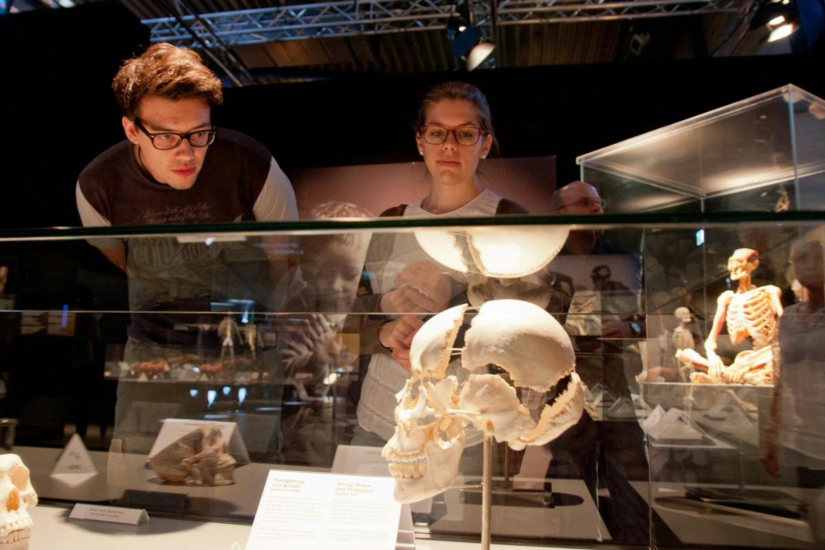 Body Worlds: The Anatomy of Happiness