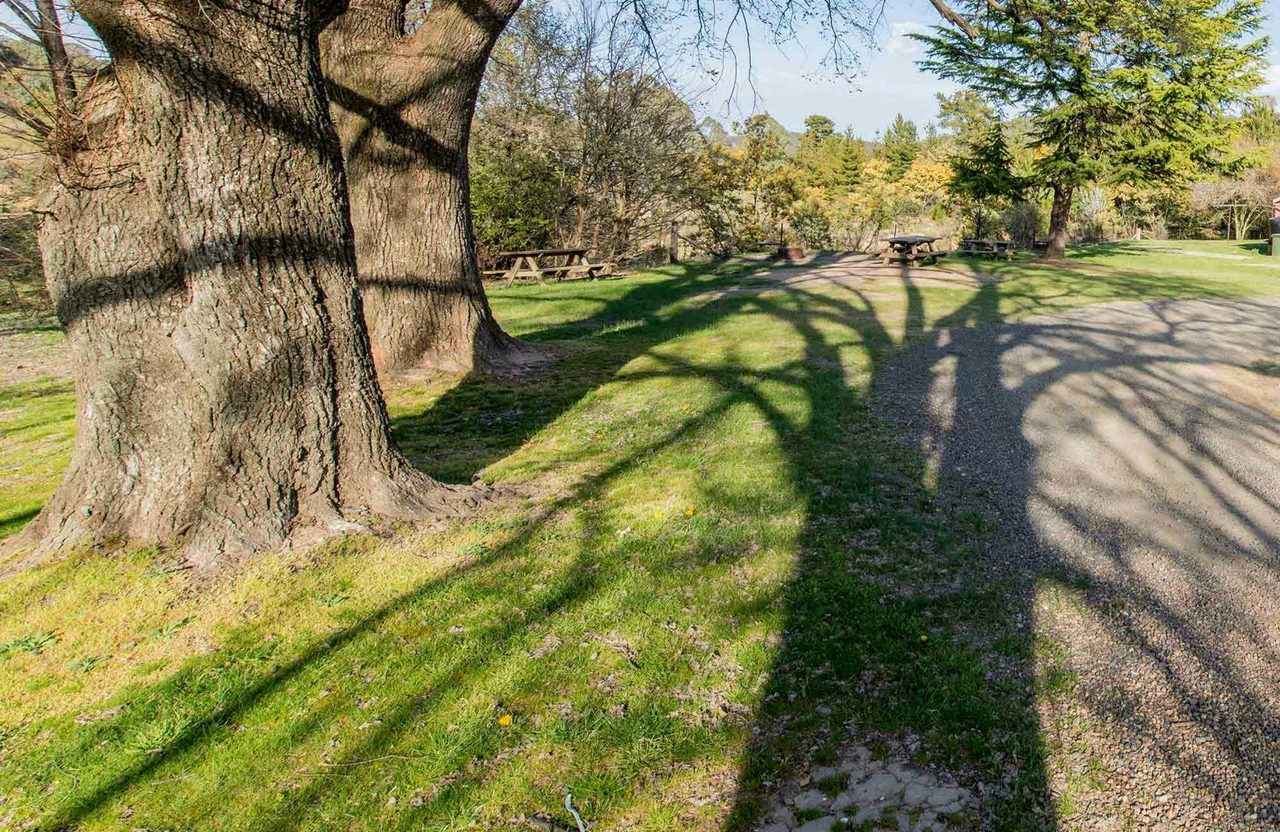 Village walking track, Hill End Historic Site. Photo: John Spencer