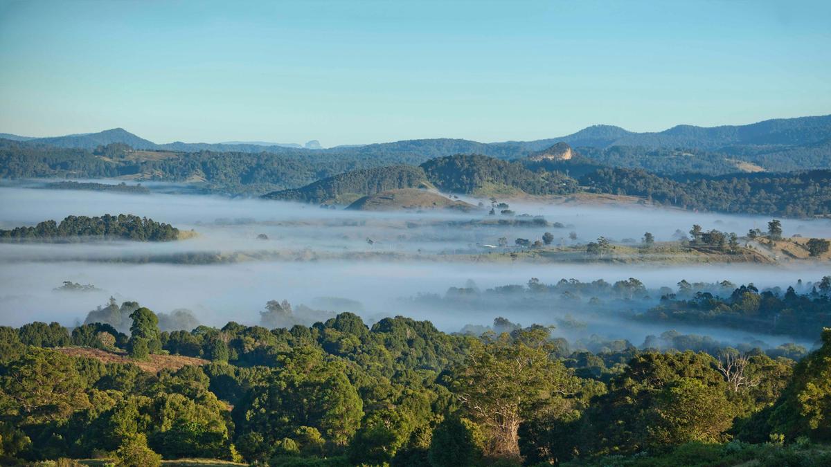 Nimbin Valley Dairy