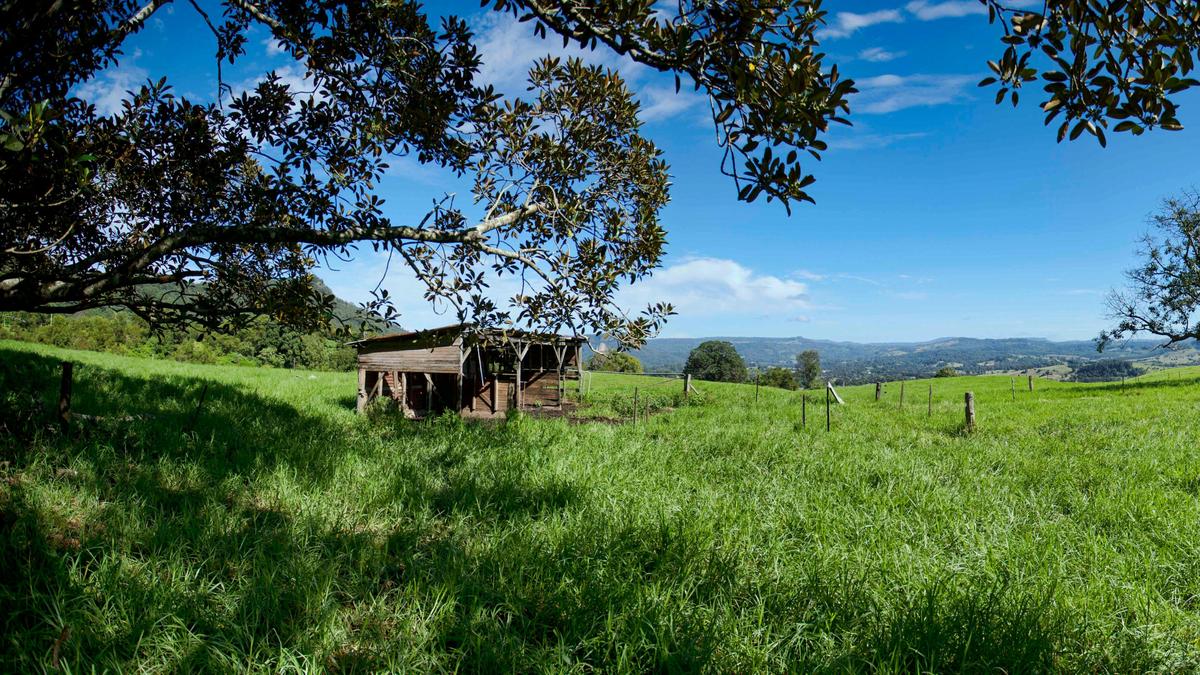 Nimbin Valley Dairy
