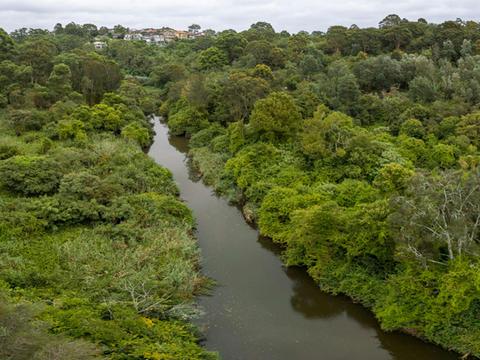 Wolli Creek Regional Park