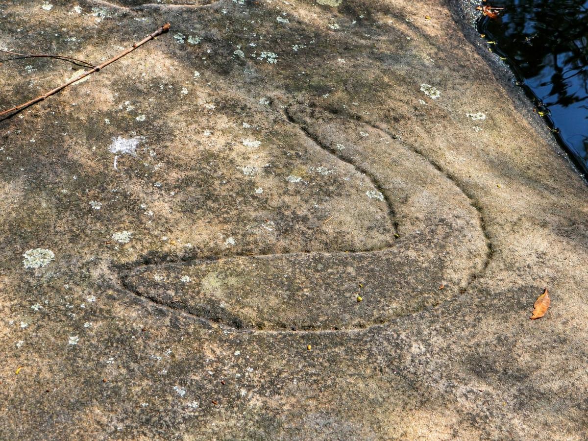 Berry Island Aboriginal Cultural Experience