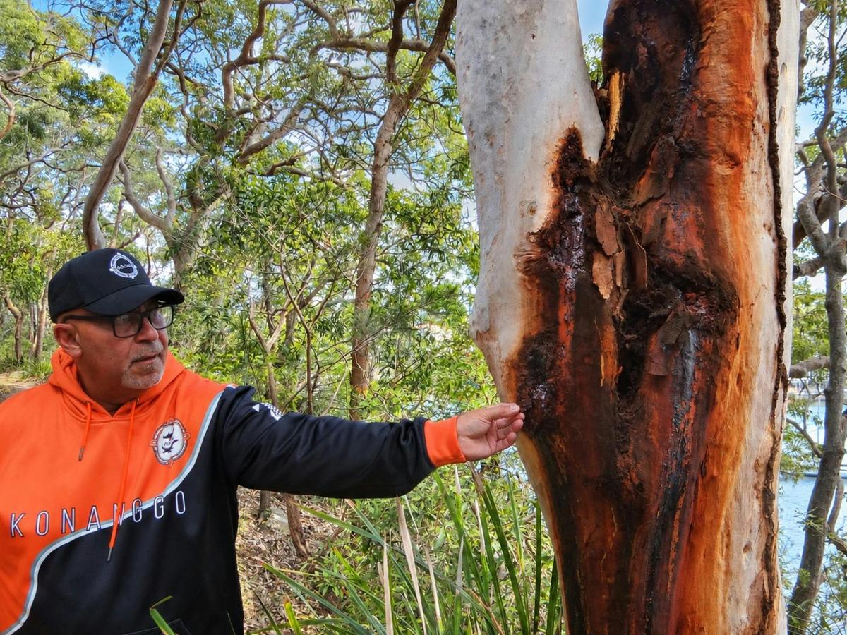 Konanggo Aboriginal Cultural Heritage Services
