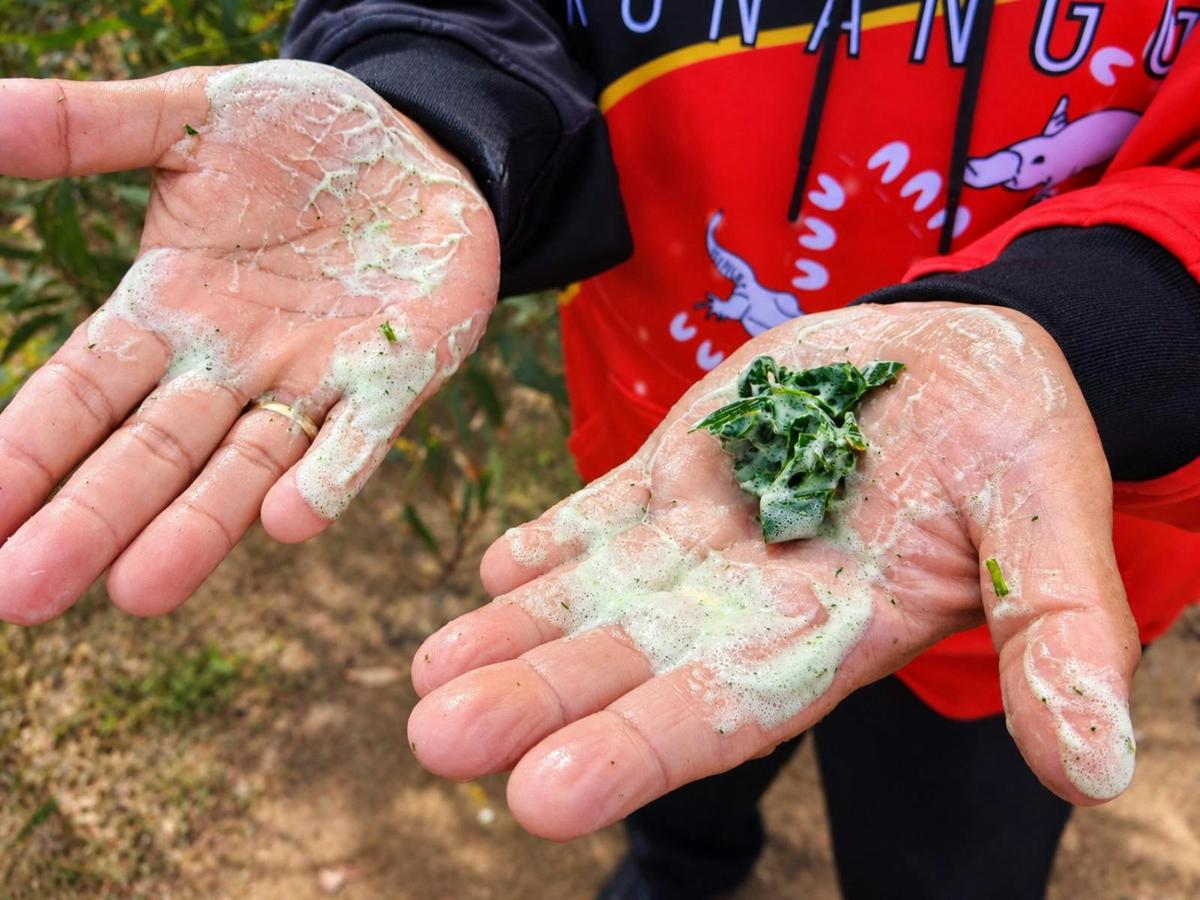 Berry Island Aboriginal Cultural Experience