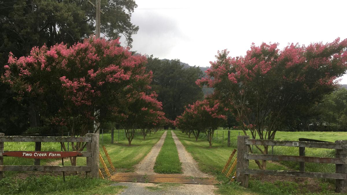 Two Creek Farm