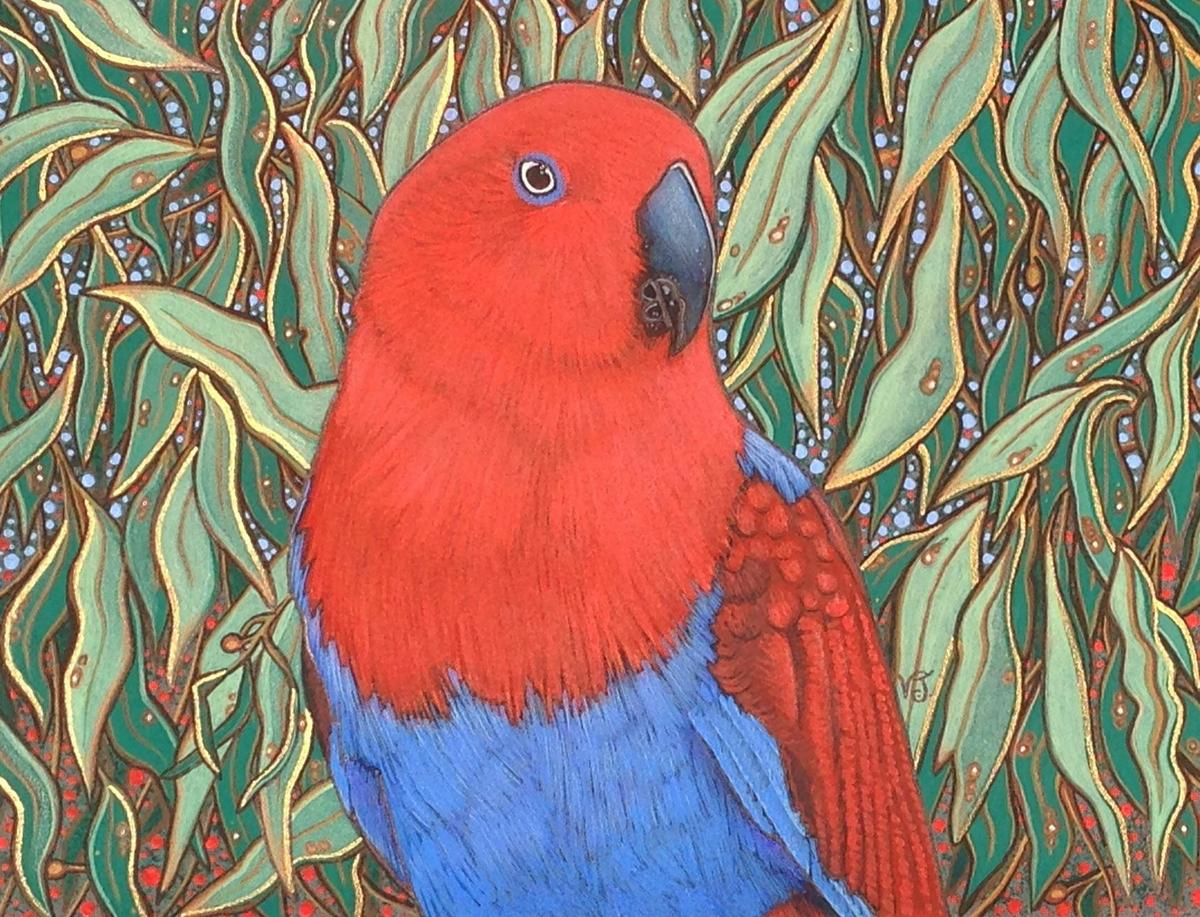 Female Eclectus Parrotoriginal artwork by Vikki Jackson