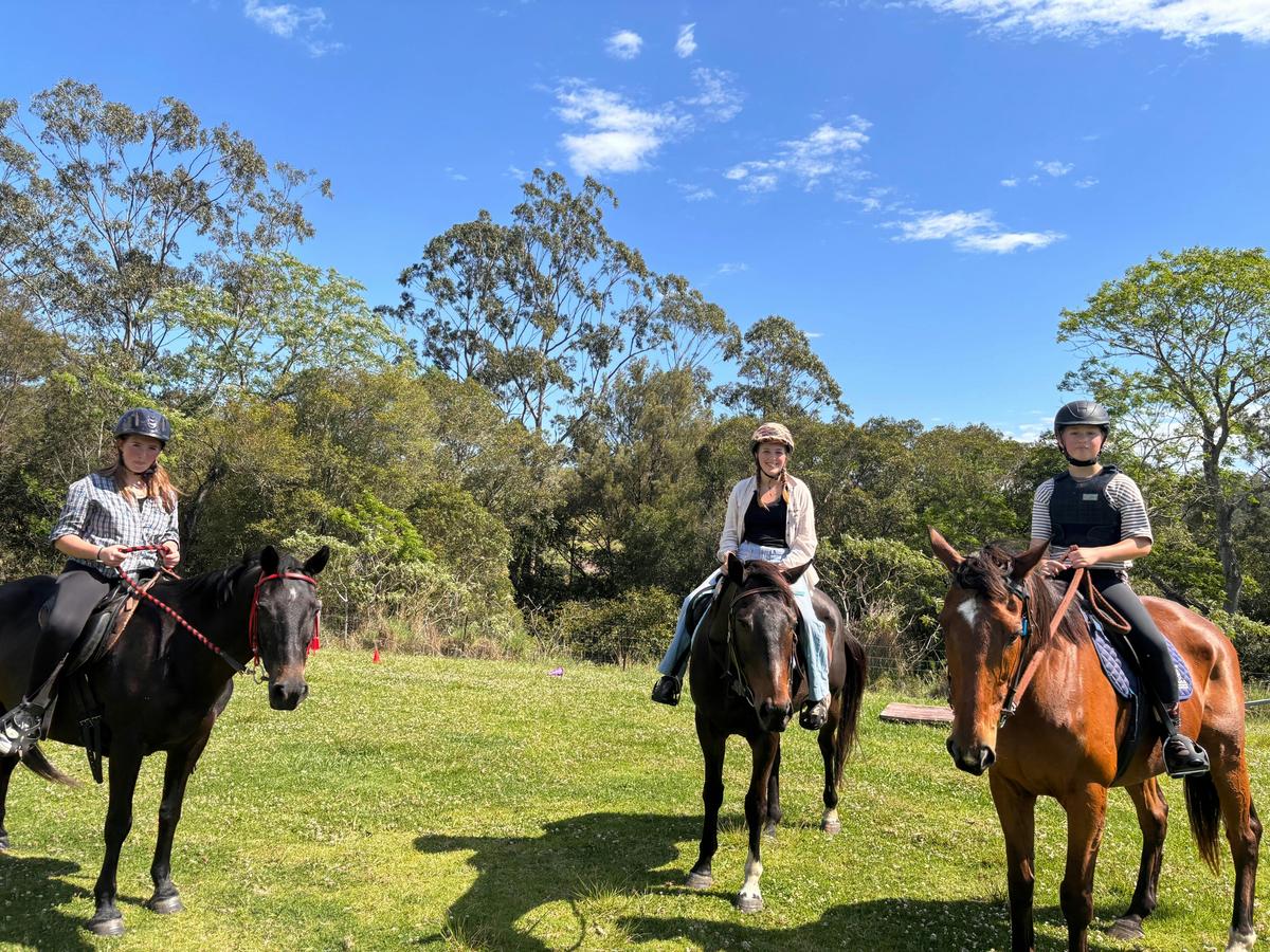 Horse day camp