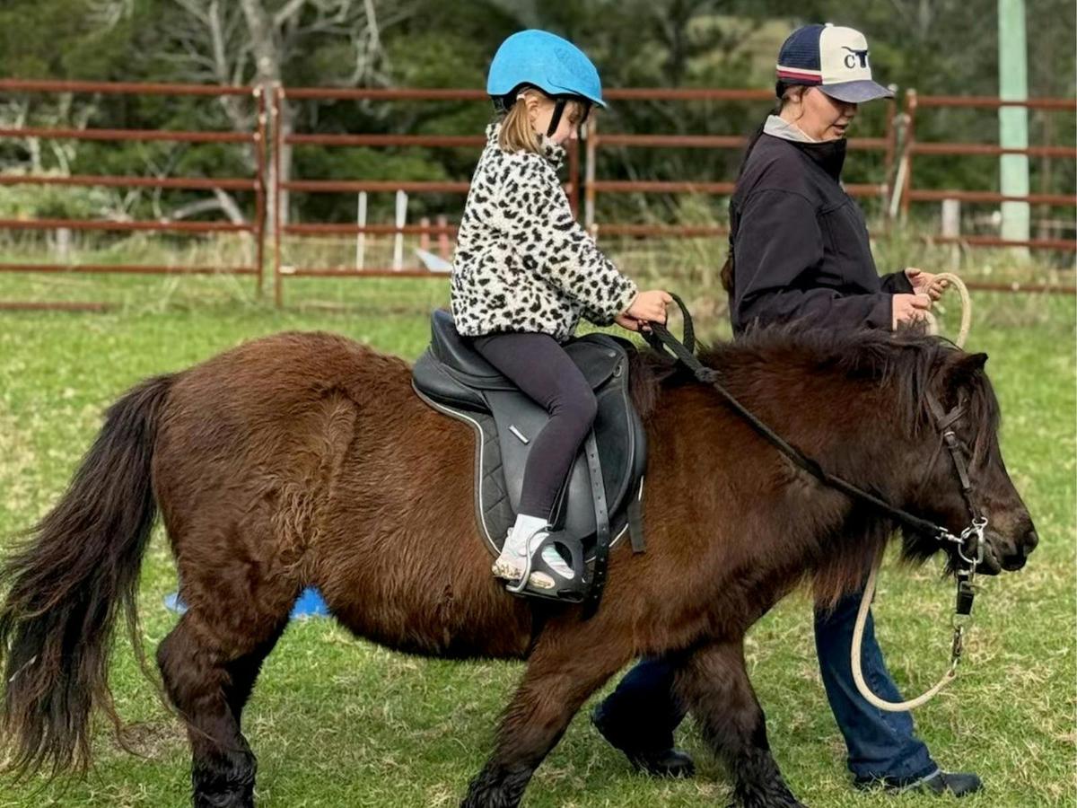 Pony Rides are available