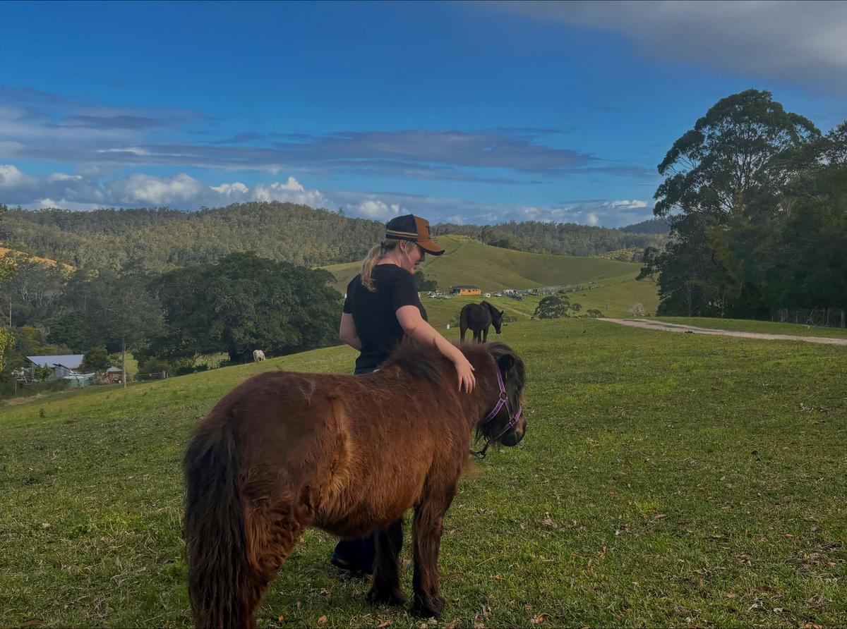 Beautiful afternoon getting ponies ready
