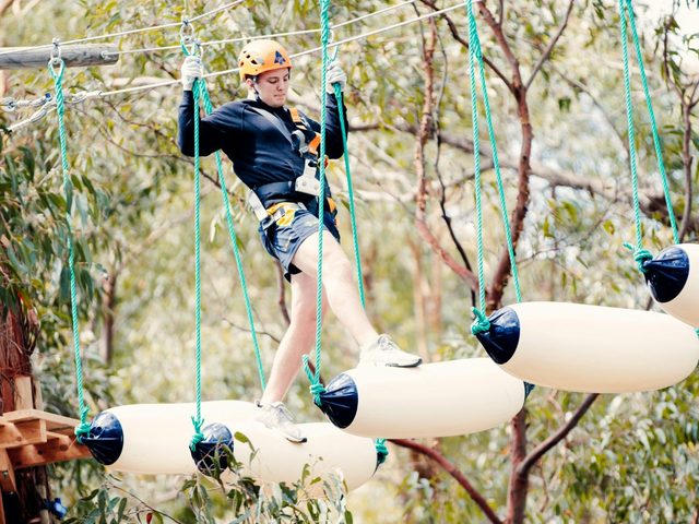 Treetops Adventure St Ives