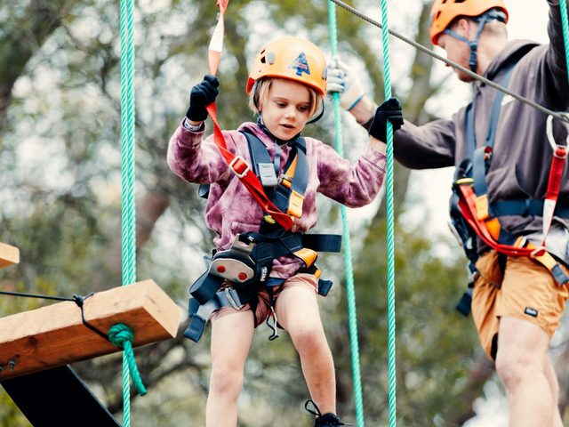 Treetops Adventure St Ives