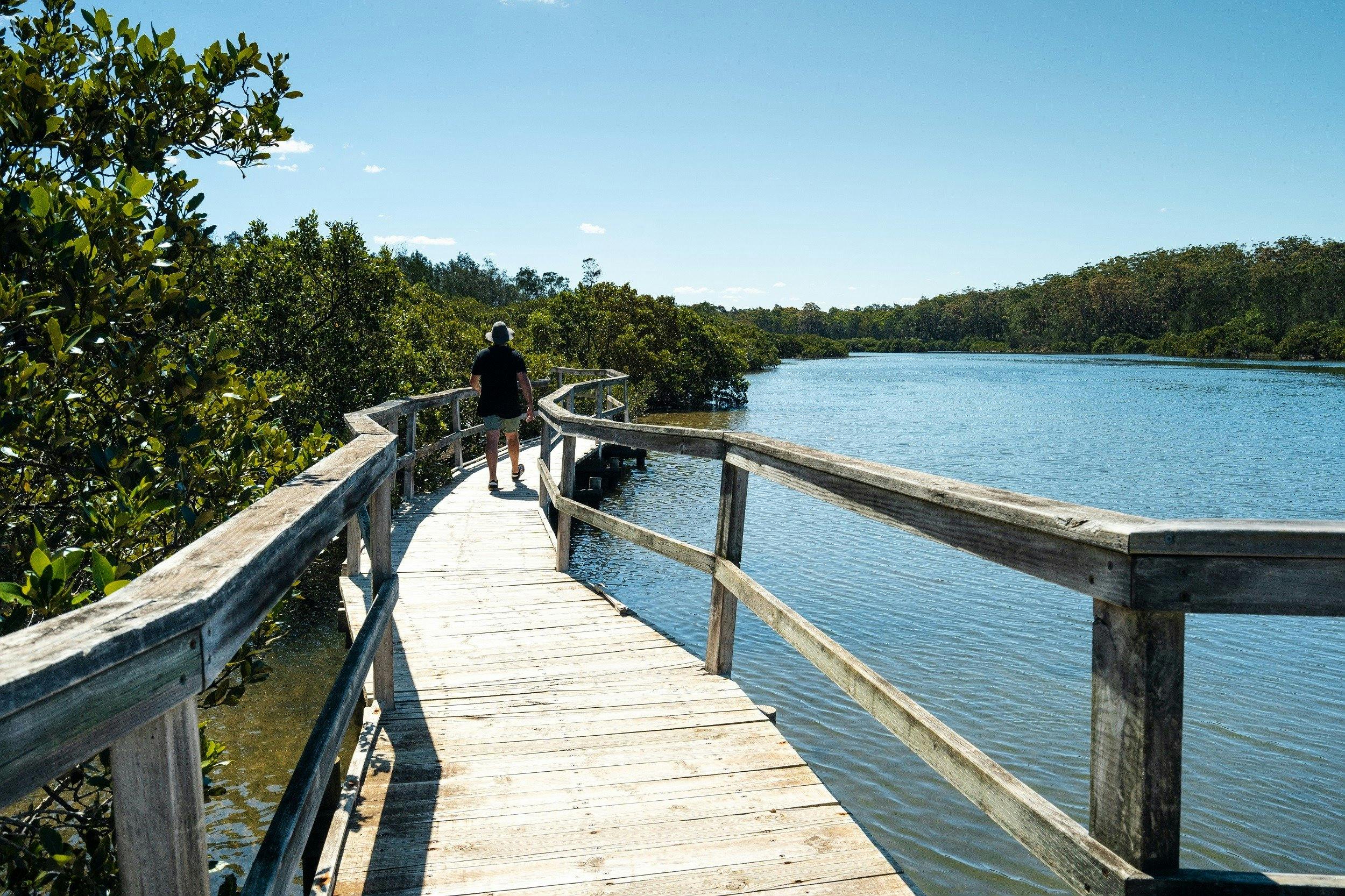 Mangrove Boardwalk