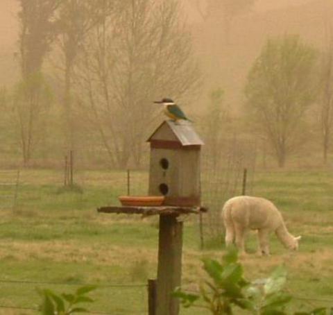Glenhope Farmstay