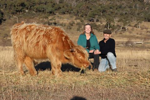 Highland Coos Australia