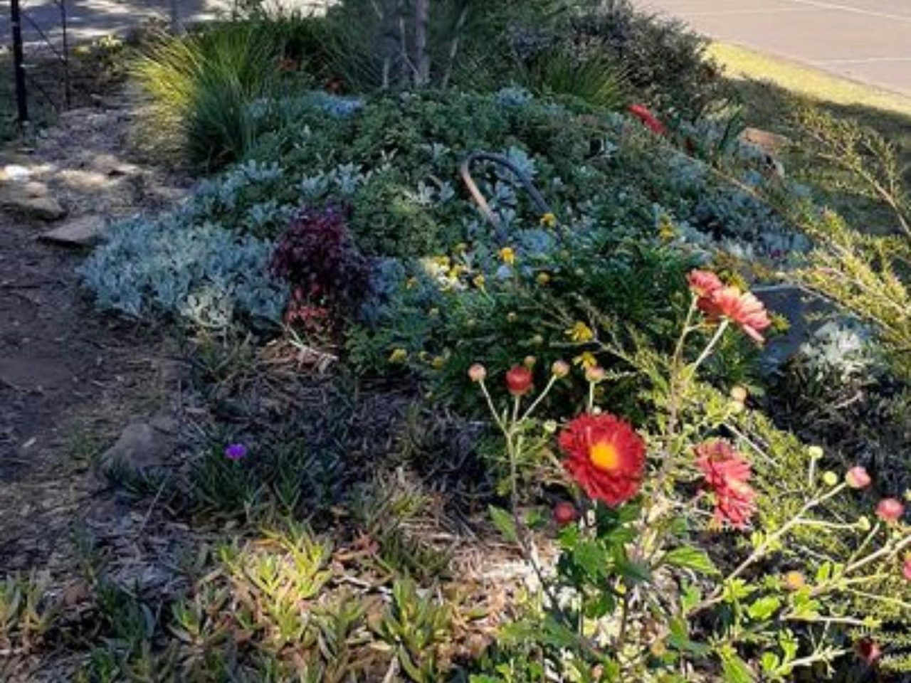 Yerrinbool Railway Garden 2