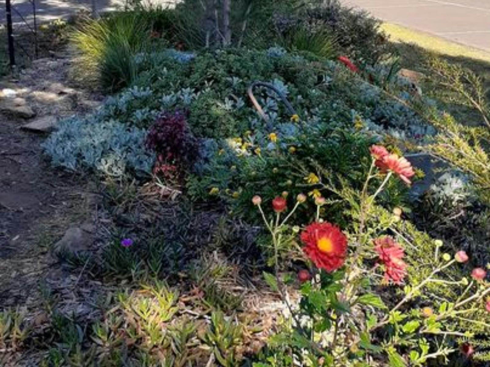 Yerrinbool Railway Garden 2