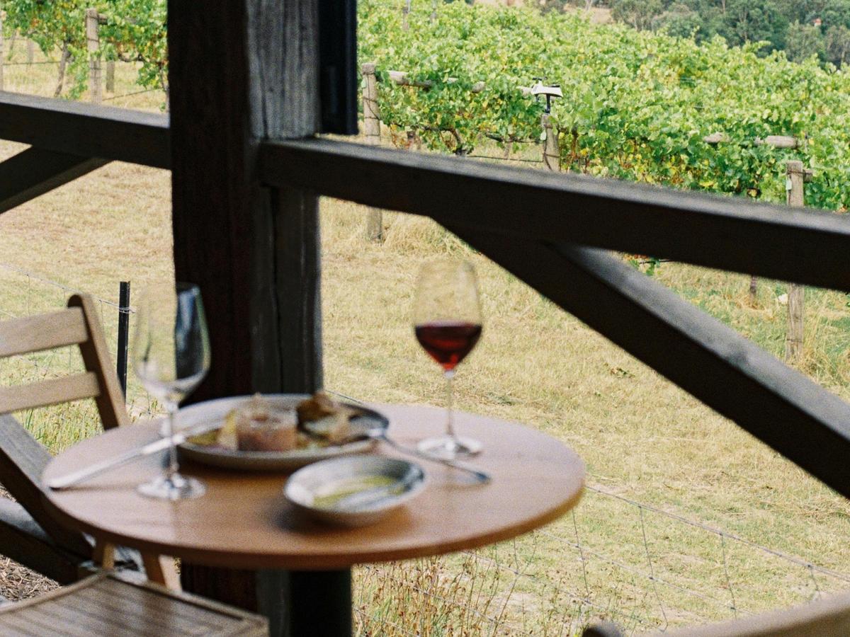 Wine and snacks overlooking the Fin Wines vineyard and Yarra Valley hills.