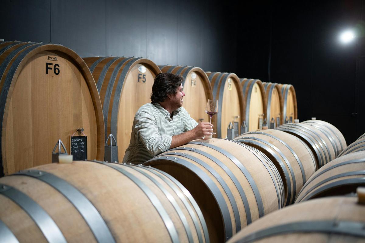 Koerner Wine Cellar