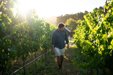 Koerner Wine Cellar Door